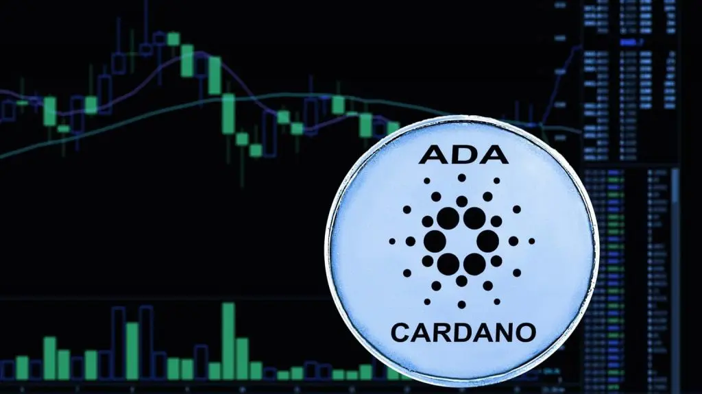 Ali bo imela družba Cardano svojo verigo blokov?
