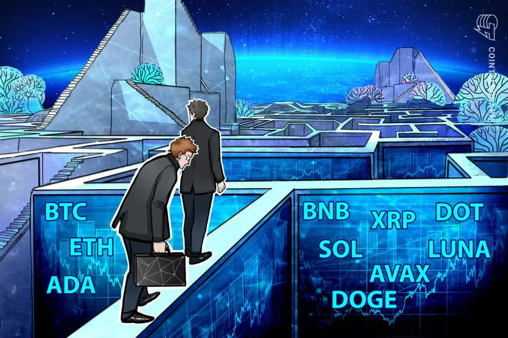 Ali je Cardano prihodnost kriptovalute?
