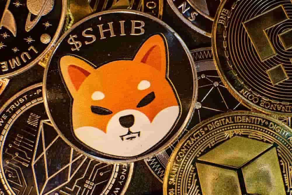 Ali lahko shiba inu doseže 1 dolar?