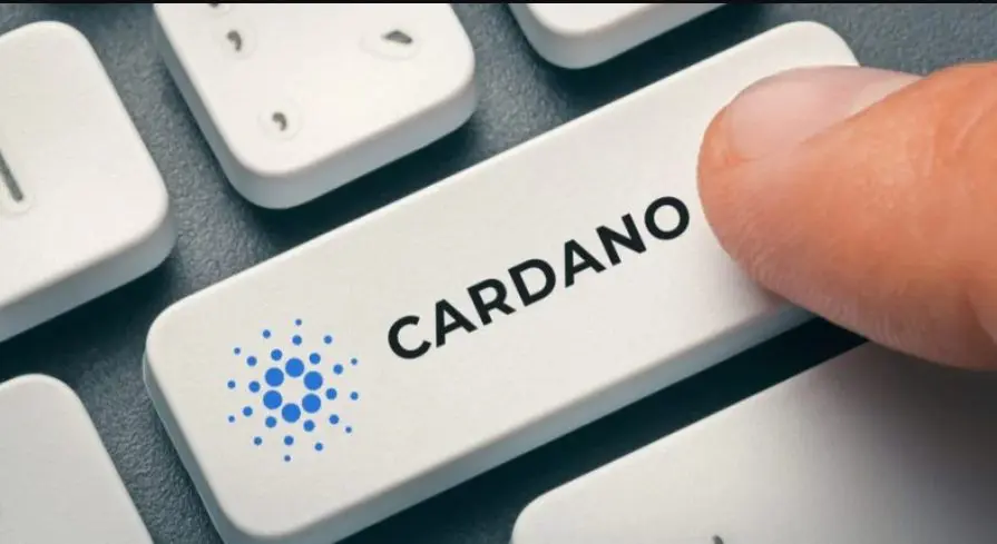 Crypto cardano (platforma veriženja blokov)
