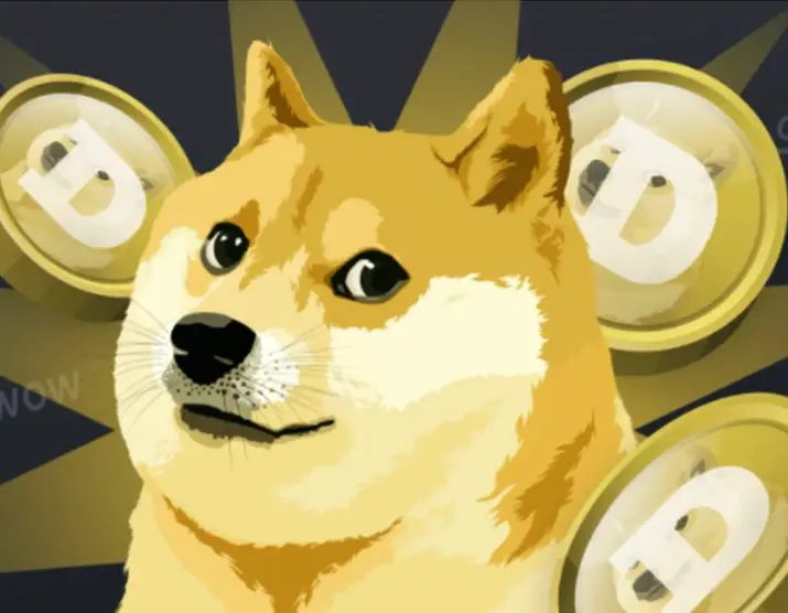 Koliko je vseh žetonov shiba?