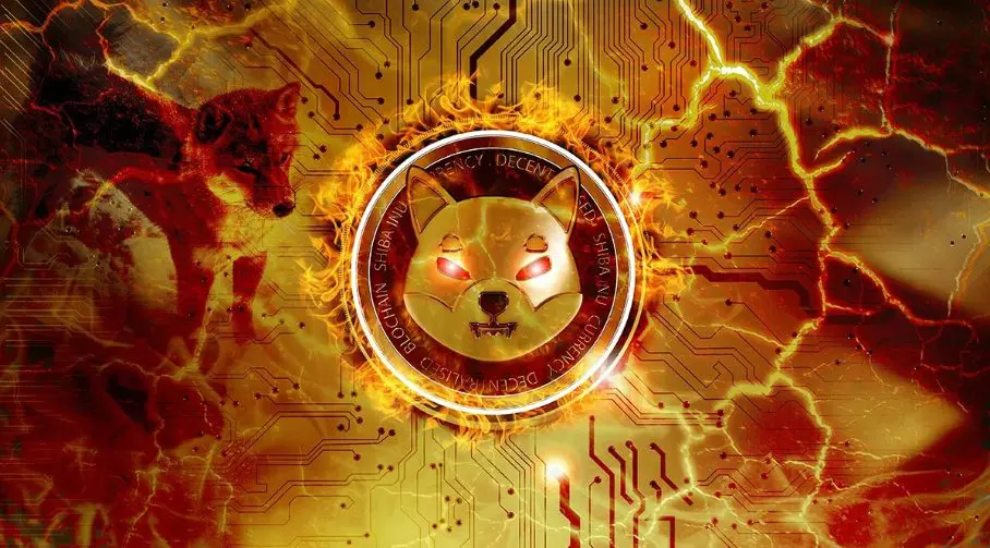 Shiba Inu, v katero je vredno vlagati