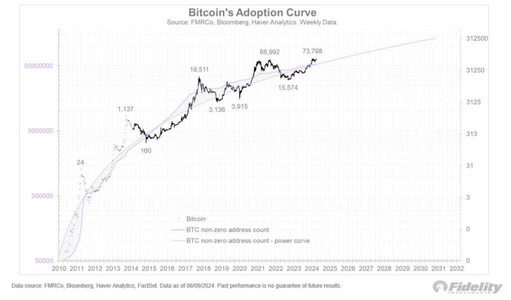 Krivulja sprejetja bitcoina
