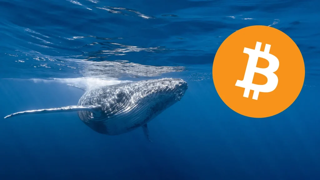 Starodavni kit v bitcoinih se po 12 letih premakne na 60 milijonov dolarjev!