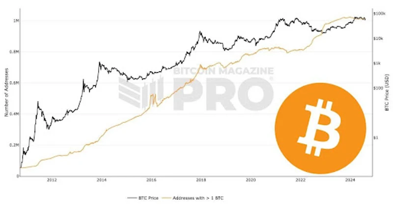 Graf, ki prikazuje &scaron;tevilo naslovov Bitcoin, ki imajo 1 BTC
