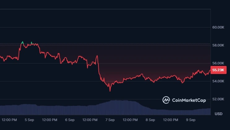 Vrednost bitcoina je padla na 52,850 USD
